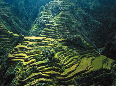 Risovye-terrasy-v-Banaue-oLuson-Filippiny.jpg
