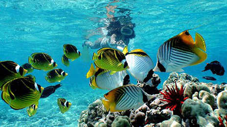 Snorkeling-bali03.jpg