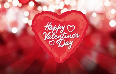 Happy Valentine`s Day 